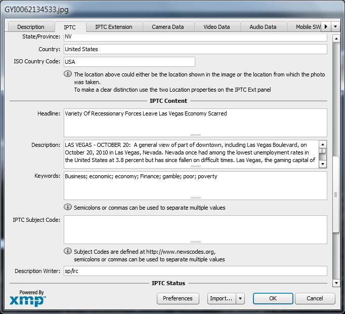 Getty-fileinfo copy.png